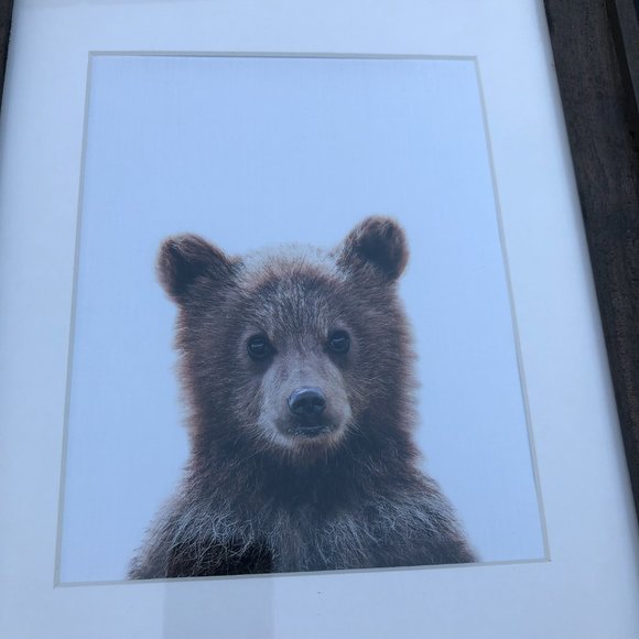 Rustic Wood Frame Bear Cub Portrait Wall Art Nursery Day Care Decor 17”x 14” - Picture 10 of 15